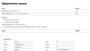 Checkout page (example)