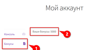 Pro: Loyalty bonuses in customer account
