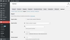 Plugin settings (tab Export)